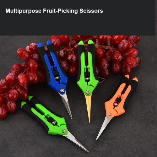 English fruit-picking scissors product view