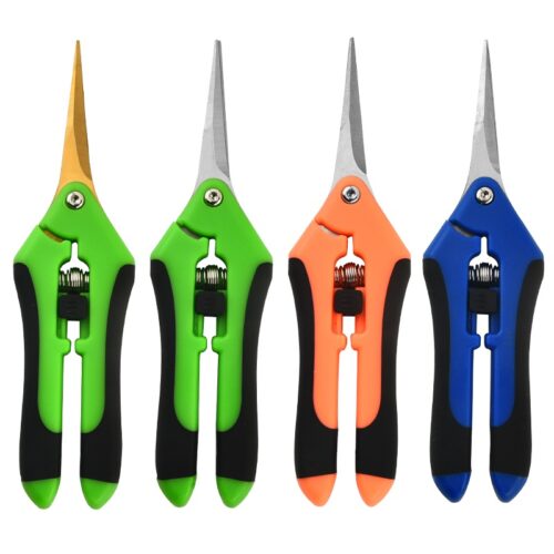 English fruit-picking scissors product view