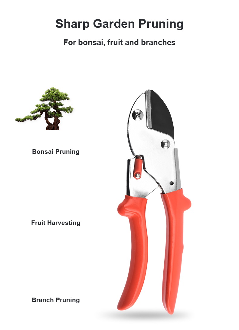 Anvil pruning shears English detail image