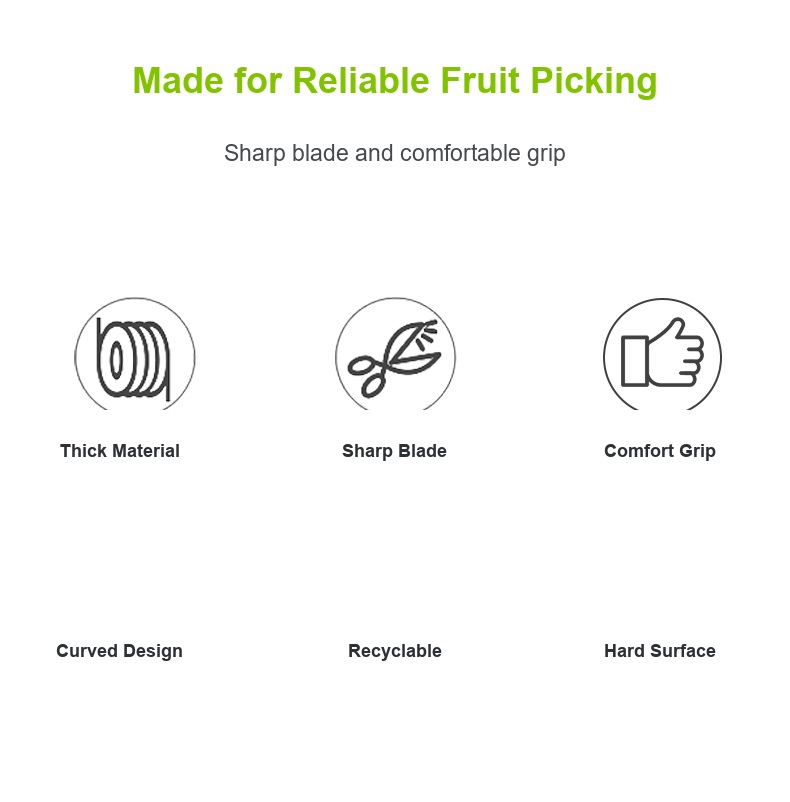 English fruit-picking scissors detail 4