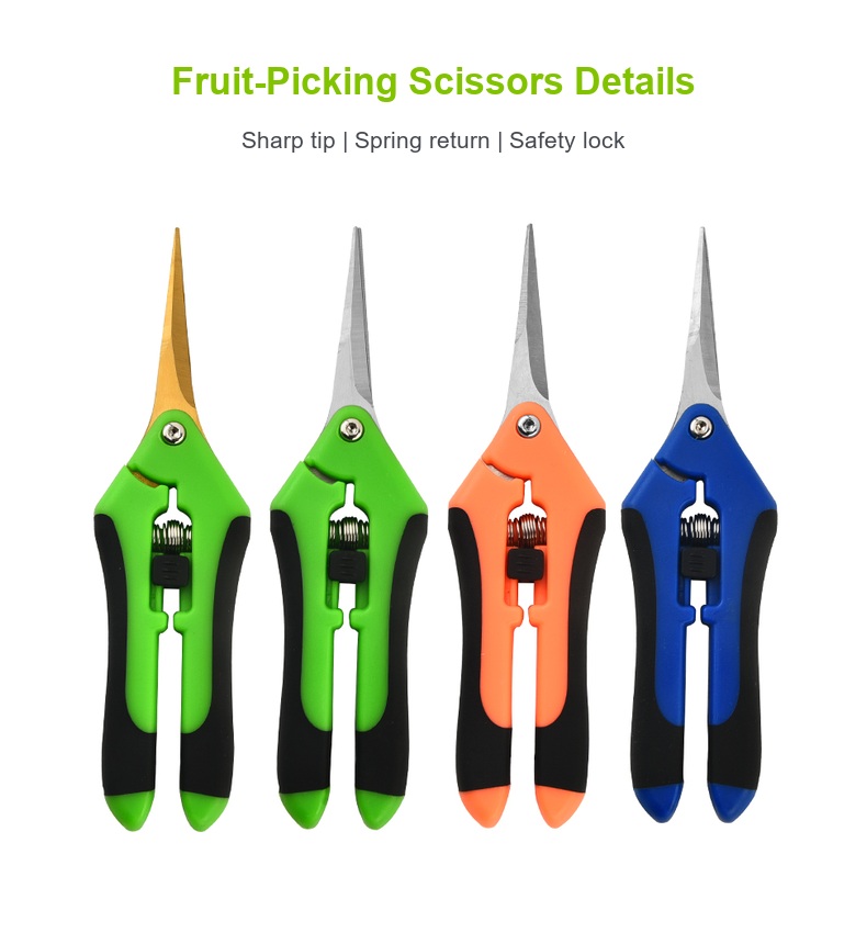 English fruit-picking scissors detail 5
