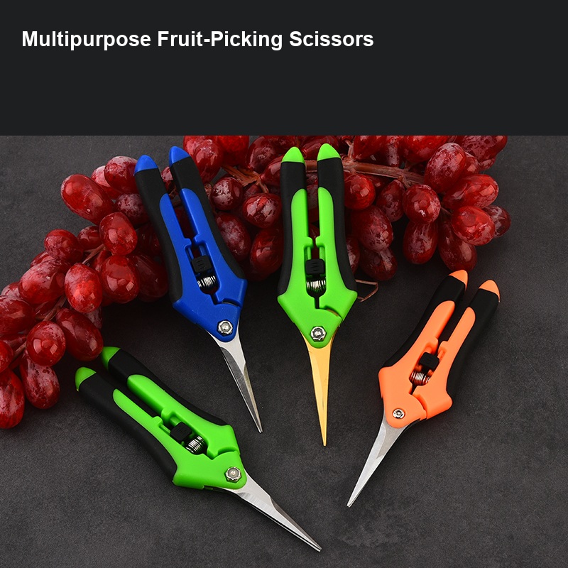 English fruit-picking scissors detail 6