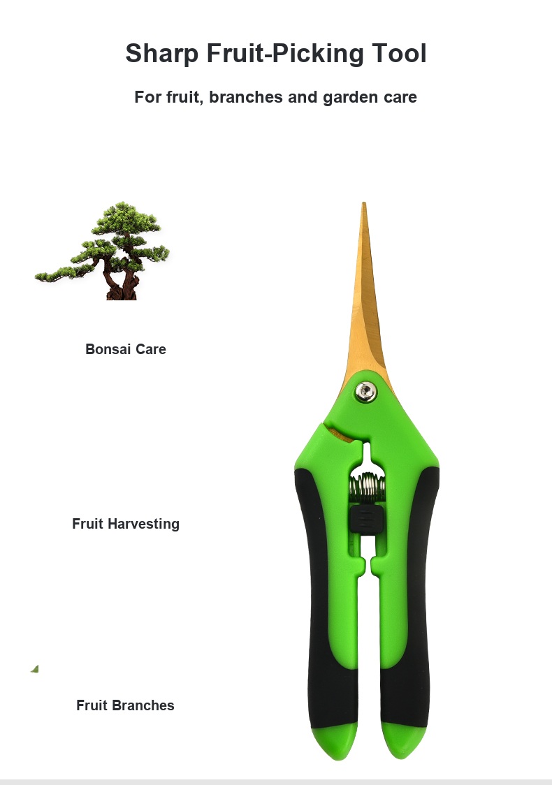 English fruit-picking scissors detail 7