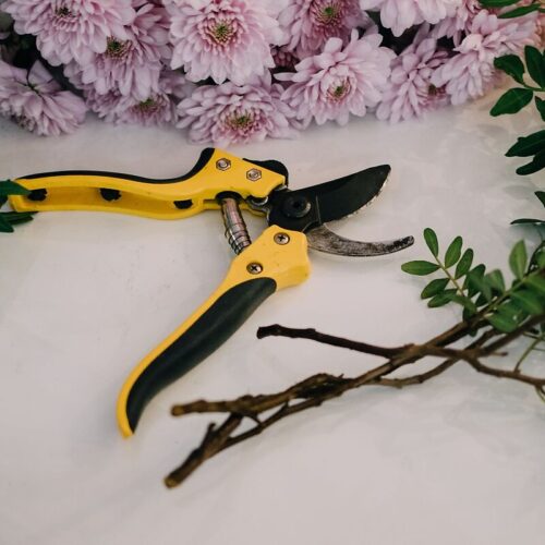 Bypass Pruning Shear SK5 8"