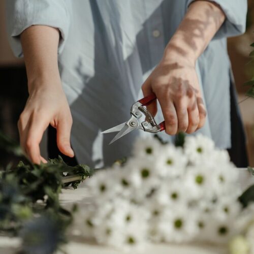 Garden & Pruning Shears