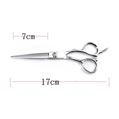 Professional 440C hairdressing scissors 6.0 inch