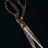 Take-Apart Multipurpose Kitchen Shears