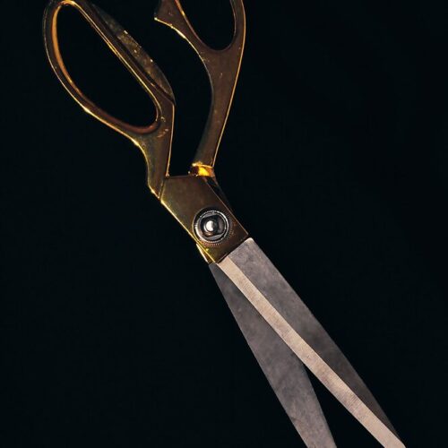 Kitchen Scissors & Shears