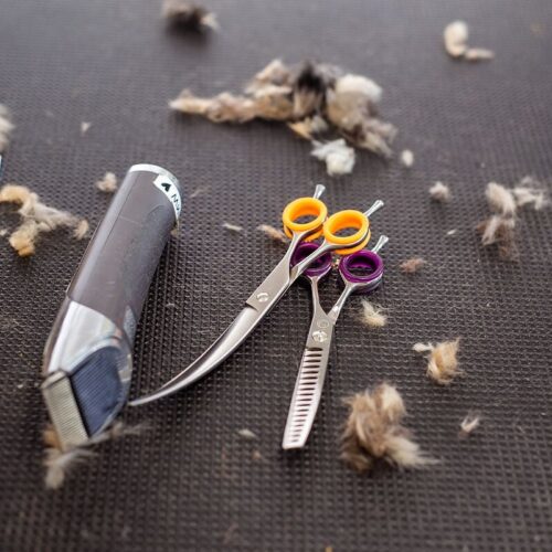 Pet Grooming Scissors