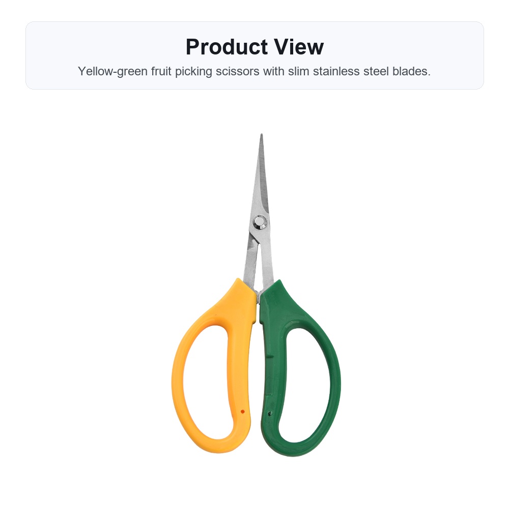 Detail 01 Product View