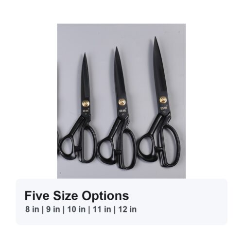 Main 02 Five Size Options