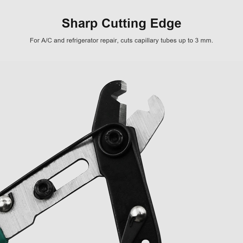 Main 04 Sharp Edge Closeup